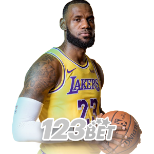 DDDJILI Sports Betting